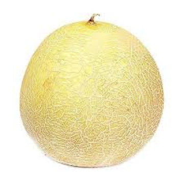Muskmelon Bobby 1KG